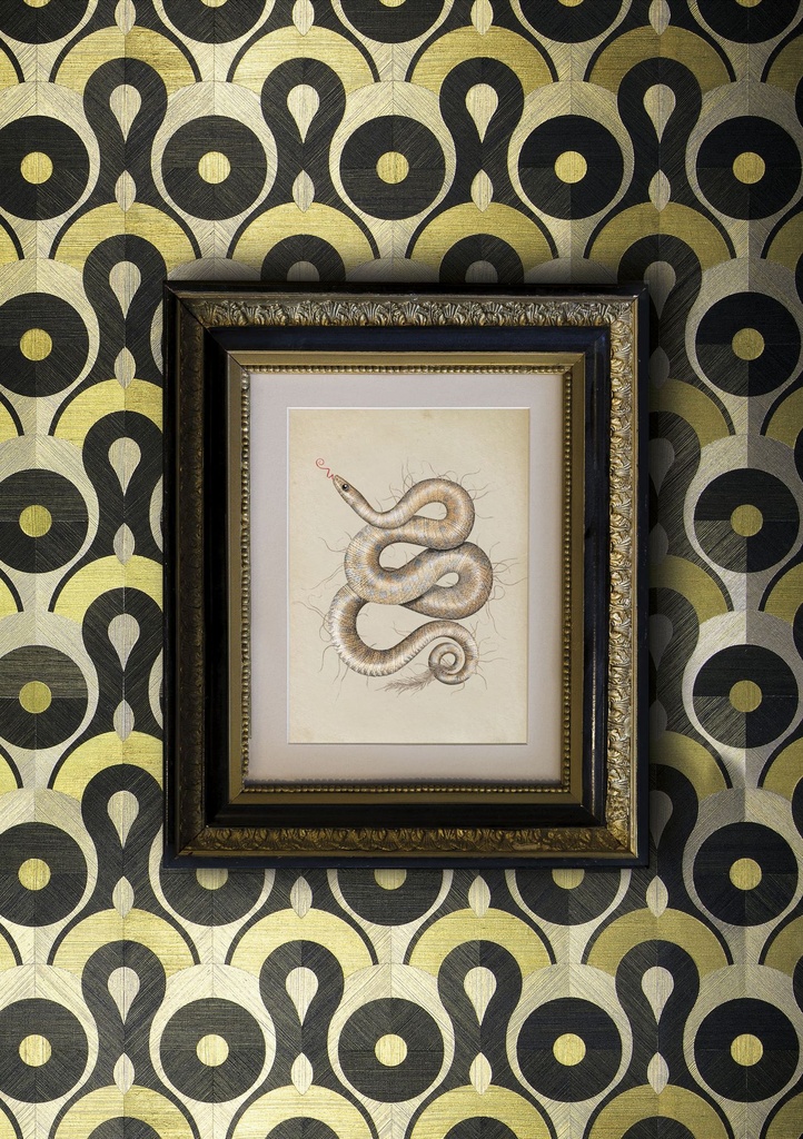 Moooi-Queen-Cobra_LR-fullscreen.jpg