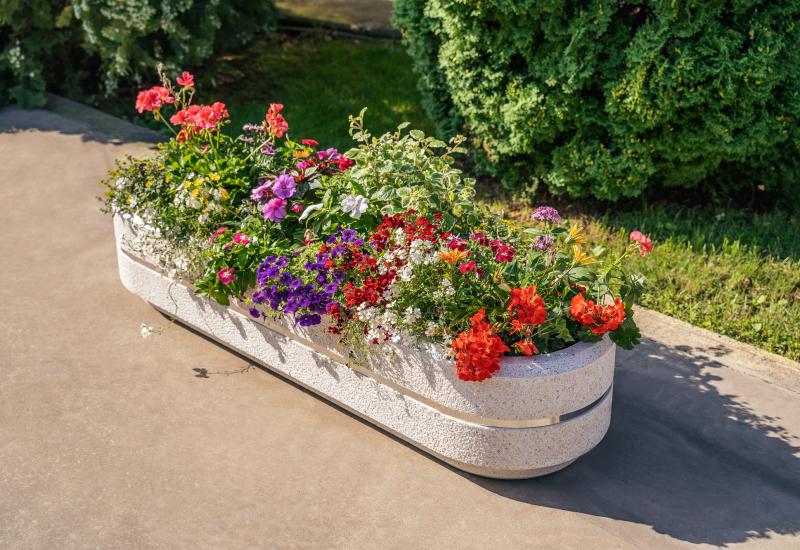 ETE Pictures CONCRETE PLANTER 25 E38D9D99-56B7-636A-F84E-5E041EE4AE86.jpg