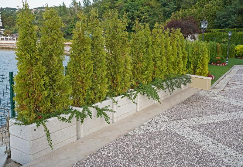 ETE Pictures RECTANGULAR CONCRETE PLANTER 78 7DB21E5A-3998-7A61-37DB-361443A3C754.jpg
