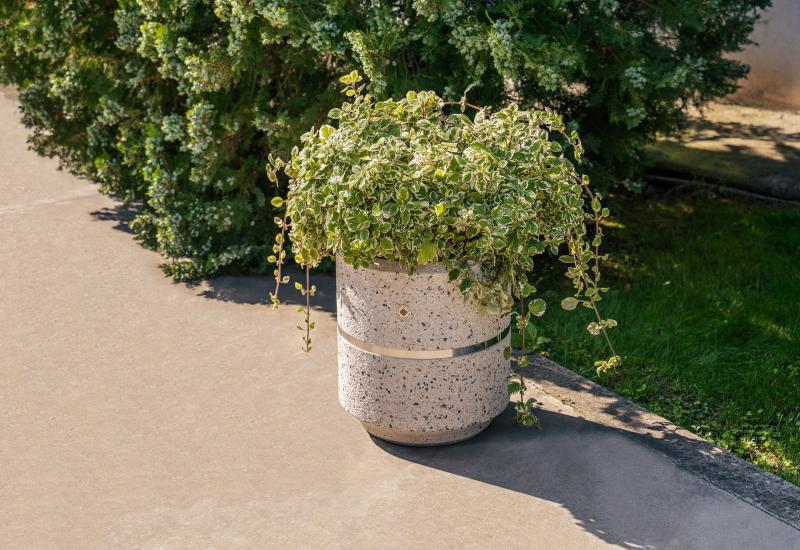 ETE Pictures ROUND CONCRETE PLANTER 20 E2FC1C49-1D99-ECD6-1843-0DA63151889A.jpg
