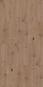 Lumbertech 270 Varnish Collection