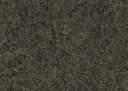 Gobi Kharga Collection