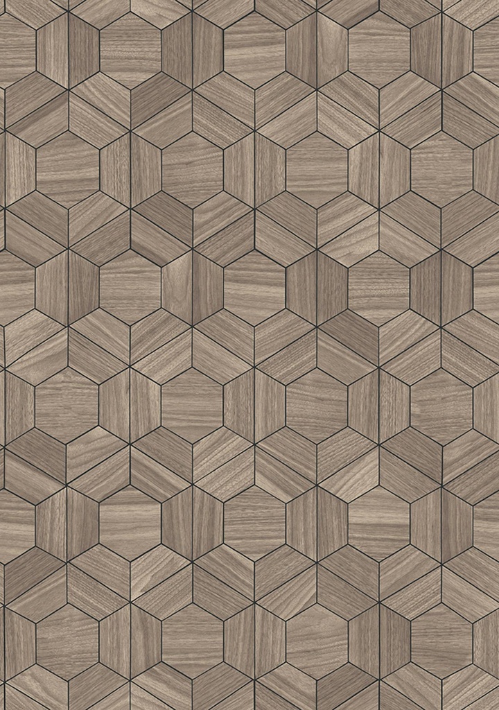 Hive Ligna Collection
