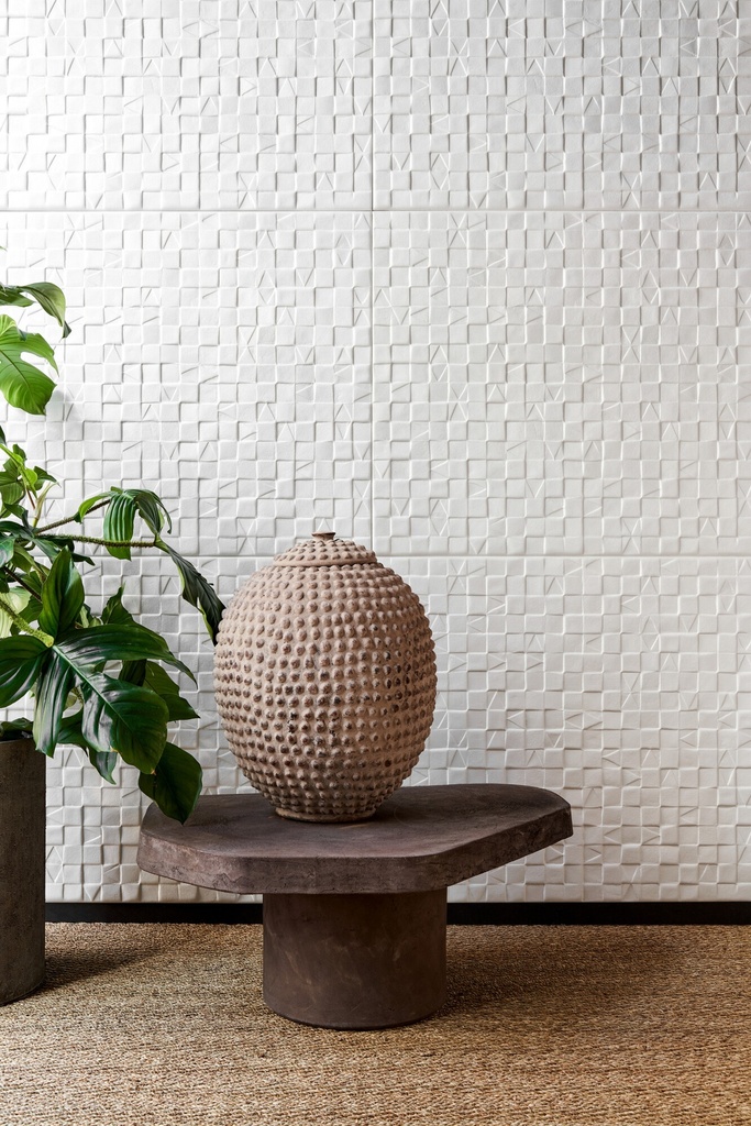 Adobe Babylon Collection