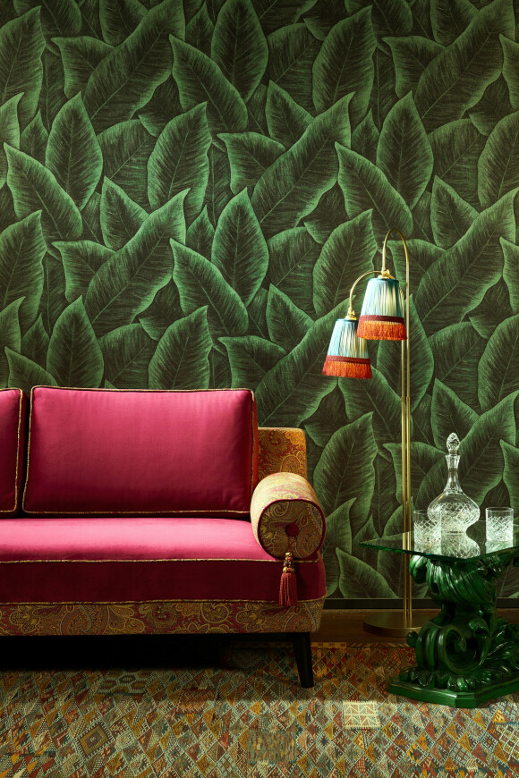 Bird of paradise Collection
