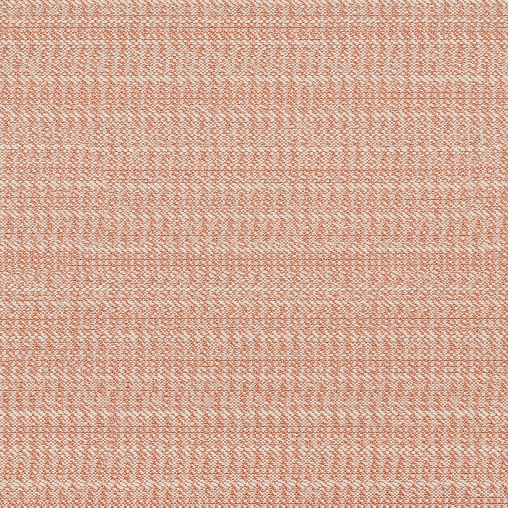 Cedar Collection FG
