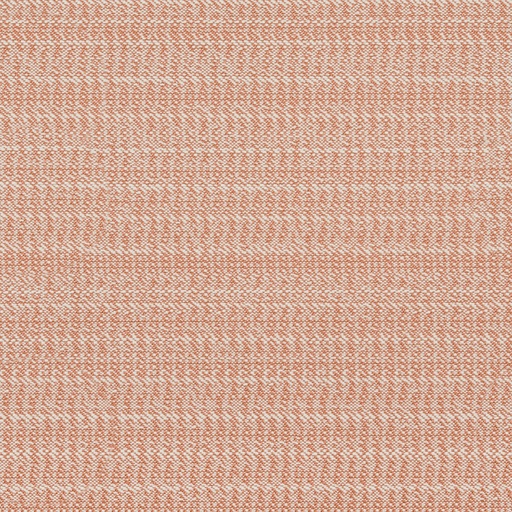 Cedar Collection FG