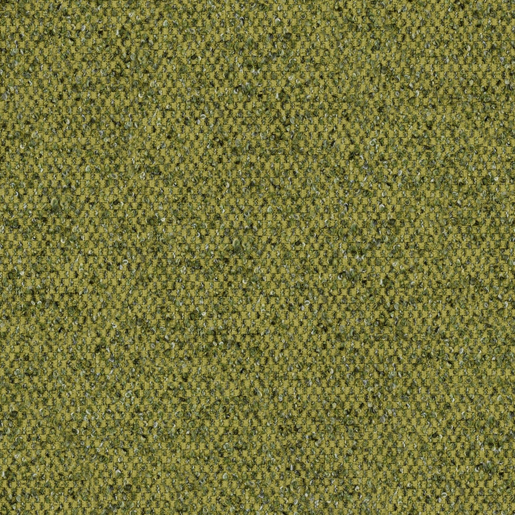 Rea Collection FG