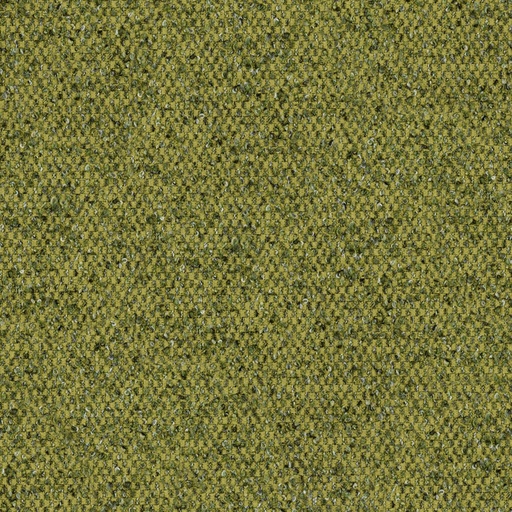 Rea Collection FG